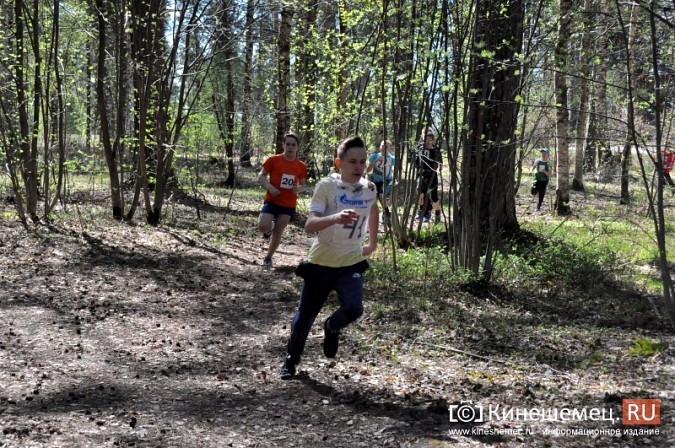 Кинешемские лицеисты выиграли весенний кросс школьников фото 14