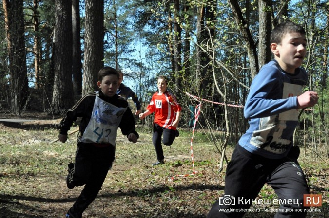 Кинешемские лицеисты выиграли весенний кросс школьников фото 17