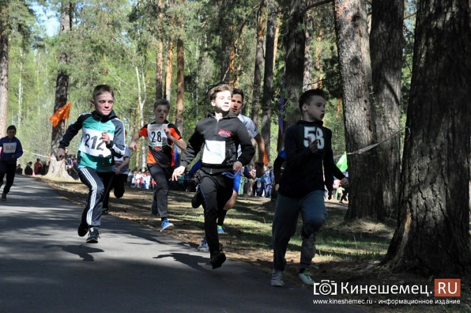 Кинешемские лицеисты выиграли весенний кросс школьников фото 23