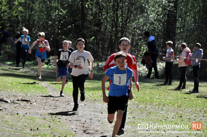 Кинешемские лицеисты выиграли весенний кросс школьников фото 12