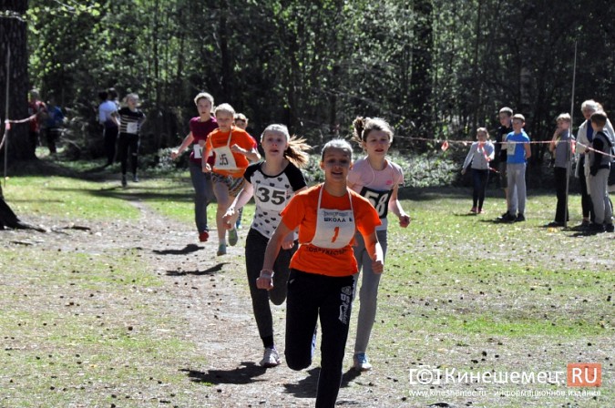 Кинешемские лицеисты выиграли весенний кросс школьников фото 8