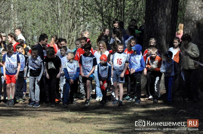 Кинешемские лицеисты выиграли весенний кросс школьников фото 25