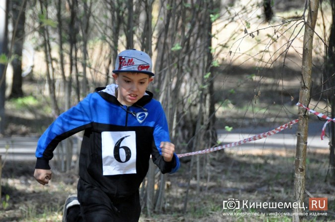 Кинешемские лицеисты выиграли весенний кросс школьников фото 22