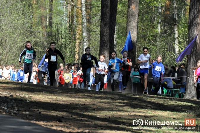 Кинешемские лицеисты выиграли весенний кросс школьников фото 10