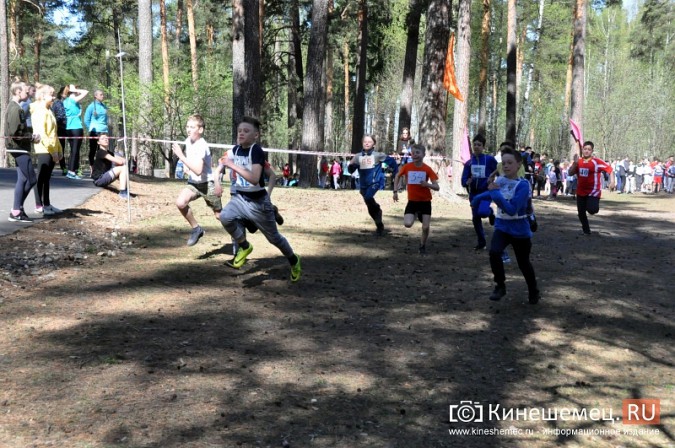 Кинешемские лицеисты выиграли весенний кросс школьников фото 24