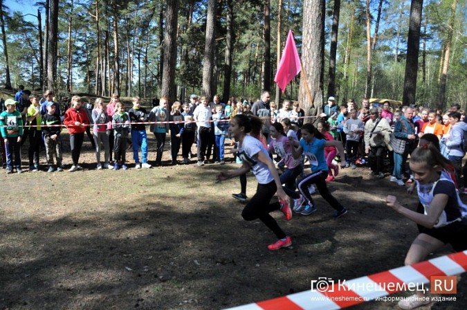 Кинешемские лицеисты выиграли весенний кросс школьников фото 2