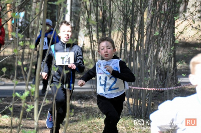 Кинешемские лицеисты выиграли весенний кросс школьников фото 21