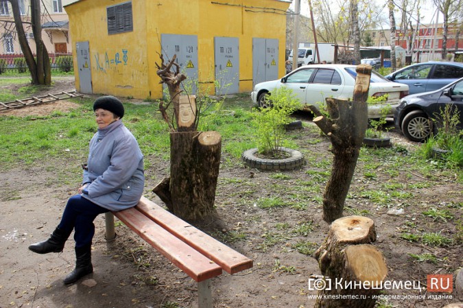 Племянник известных кинешемских художников обустроил необычную клумбу фото 7