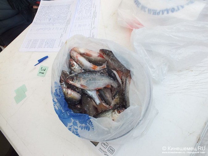 Соревнования по зимней ловле рыбы на мормышку прошли в Кинешме фото 42