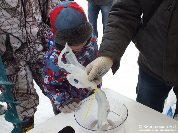 Соревнования по зимней ловле рыбы на мормышку прошли в Кинешме фото 39