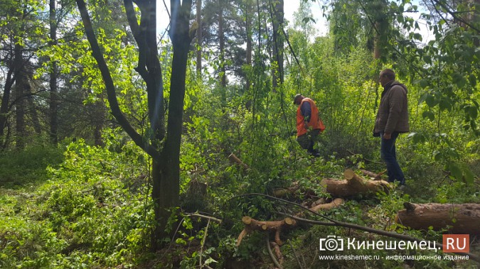 МЧС и УГХ очистили от завалов центральный парк Кинешмы фото 6