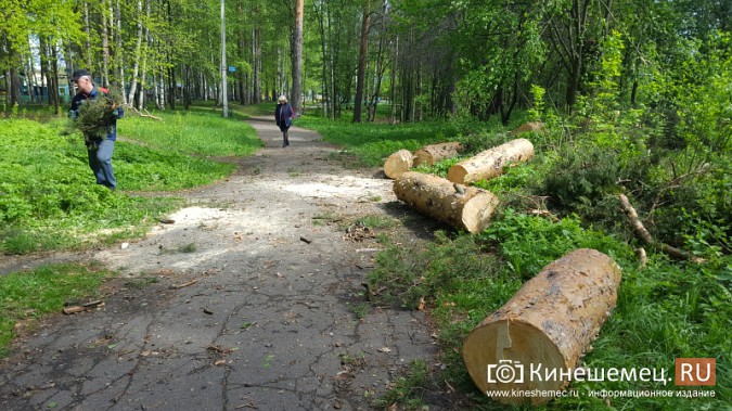МЧС и УГХ очистили от завалов центральный парк Кинешмы фото 3