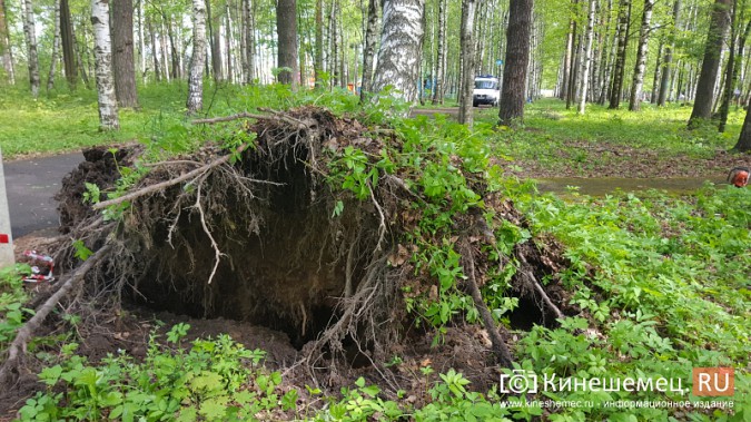 МЧС и УГХ очистили от завалов центральный парк Кинешмы фото 2