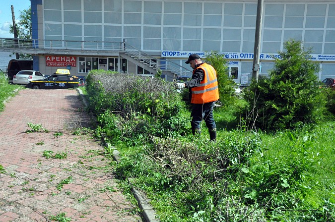 В Кинешме ко Дню города изуродовали Молодежный сквер фото 2