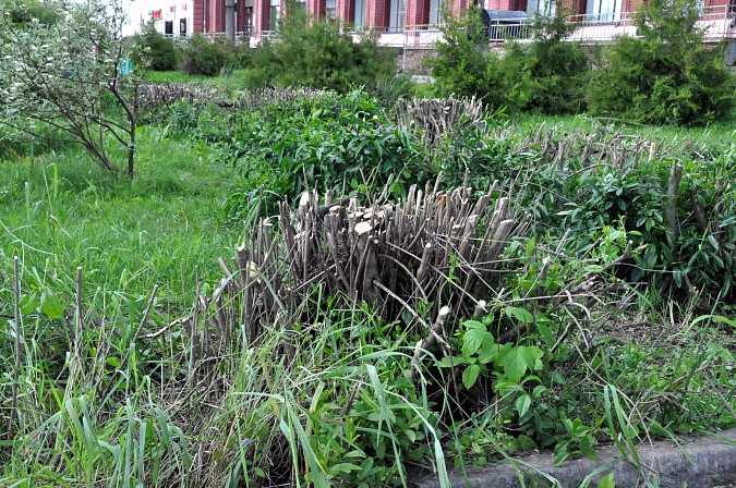 В Кинешме ко Дню города изуродовали Молодежный сквер фото 8