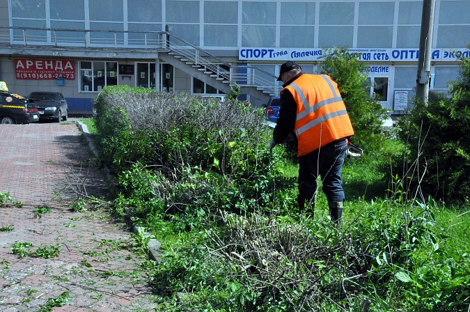 В Кинешме ко Дню города изуродовали Молодежный сквер фото 9