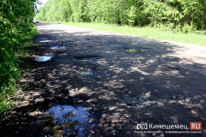 Дорога к лагерю «Радуга» требует вмешательства руководителей Ивановской области фото 6