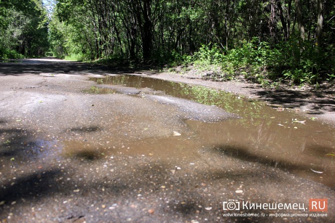 Дорога к лагерю «Радуга» требует вмешательства руководителей Ивановской области фото 15