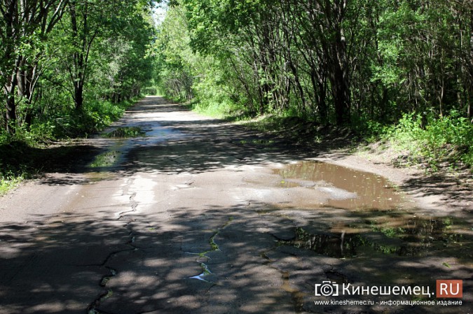 Дорога к лагерю «Радуга» требует вмешательства руководителей Ивановской области фото 14