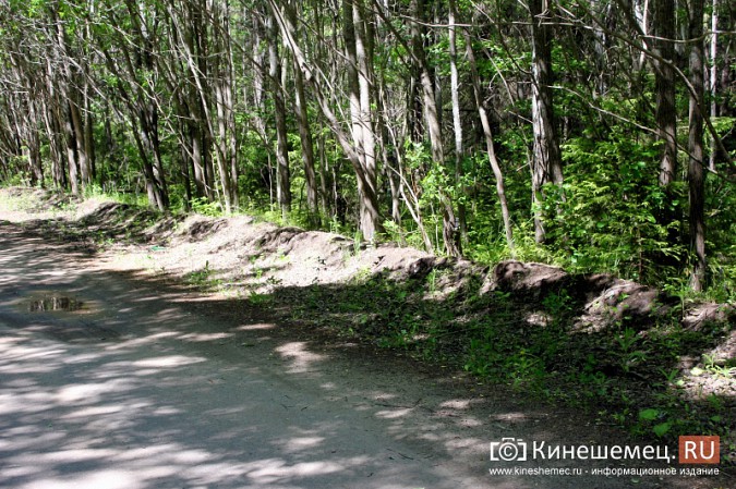 Дорога к лагерю «Радуга» требует вмешательства руководителей Ивановской области фото 12