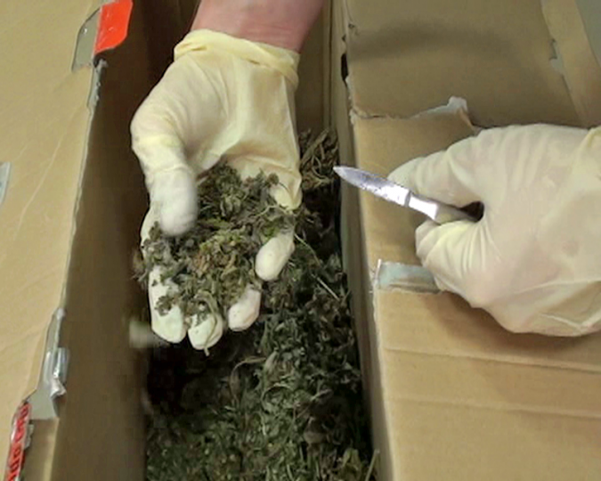 Более 7 килограммов наркотика из Восточной Африки поступило в Ивановскую область фото 2