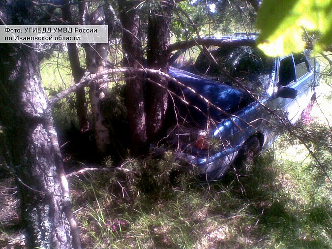 В Кинешемском районе пьяный водитель "ВАЗа" сломал нос, врезавшись в дерево фото 3