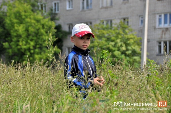 О недовольстве строительством на улице Менделеева жители Кинешмы проинформировали Путина фото 12