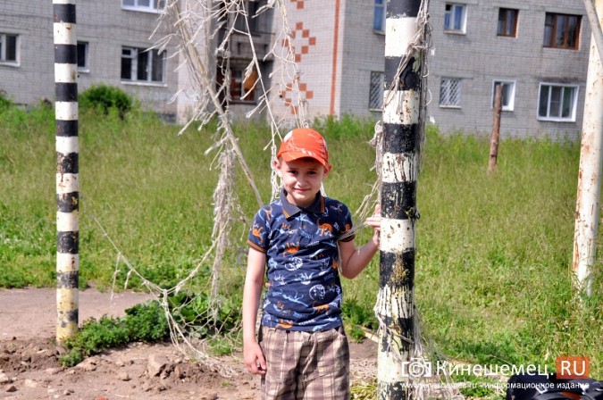О недовольстве строительством на улице Менделеева жители Кинешмы проинформировали Путина фото 13