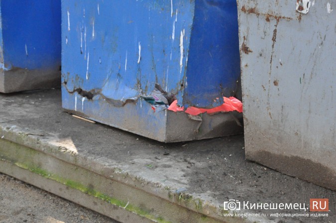Кинешемский депутат - единоросс победил жителей в "мусорной войне" фото 5