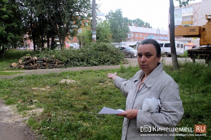 Жители улицы Макарова в Кинешме возмущены массовым уничтожением деревьев фото 9