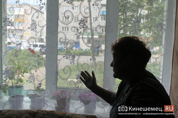 Жители улицы Макарова в Кинешме возмущены массовым уничтожением деревьев фото 5