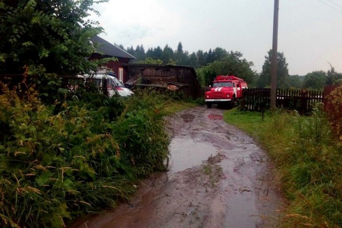 В Кинешемском районе Ивановской области женщину раздавило деревом фото 3