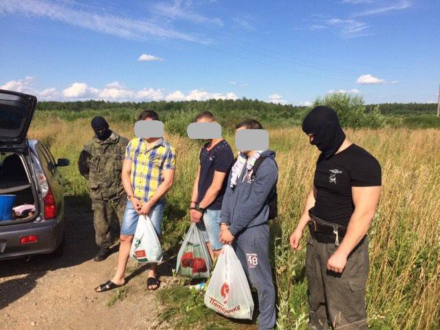 В Ивановской области мужчина вырастил на огороде 170 кустов конопли фото 2